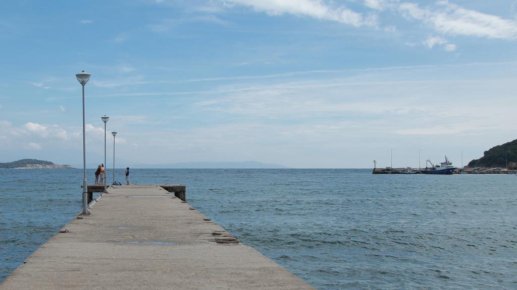 Liotopi 2* Olympiada